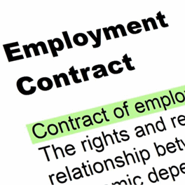 Employment Contracts - Article Image