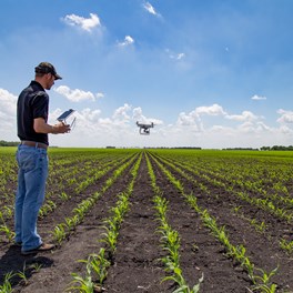 AI in Agriculture  - Article Image